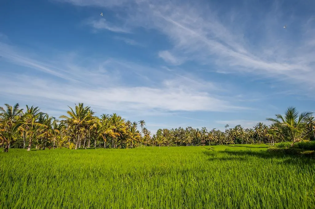 أوبود Ananditha Villa